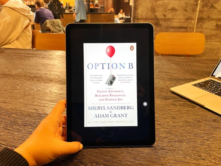 Option B book cover