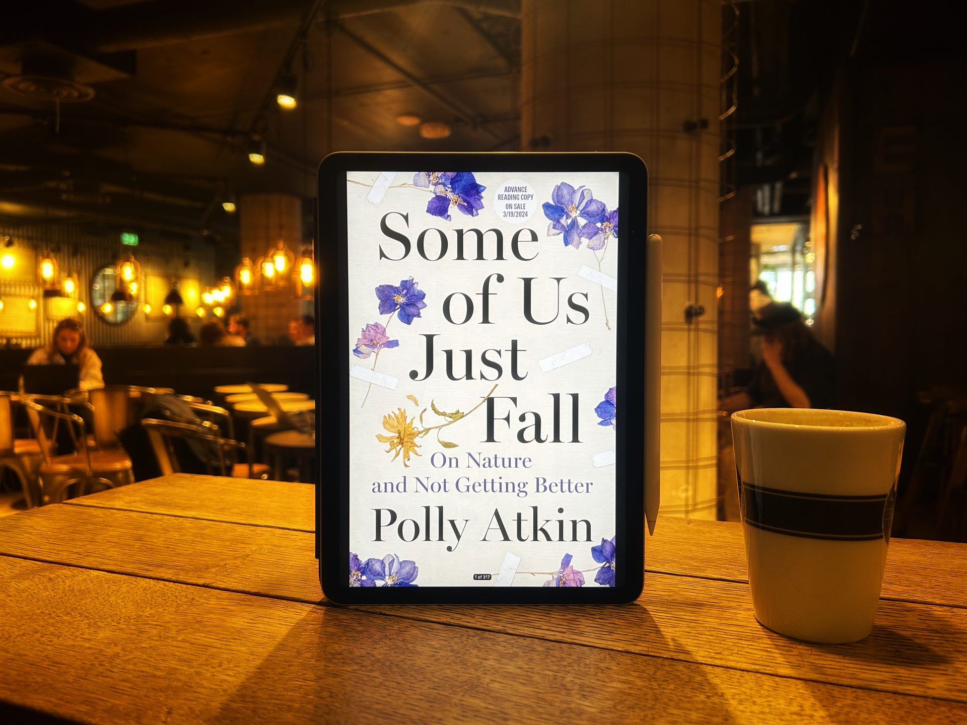 Some of Us Just Fall Book Cover