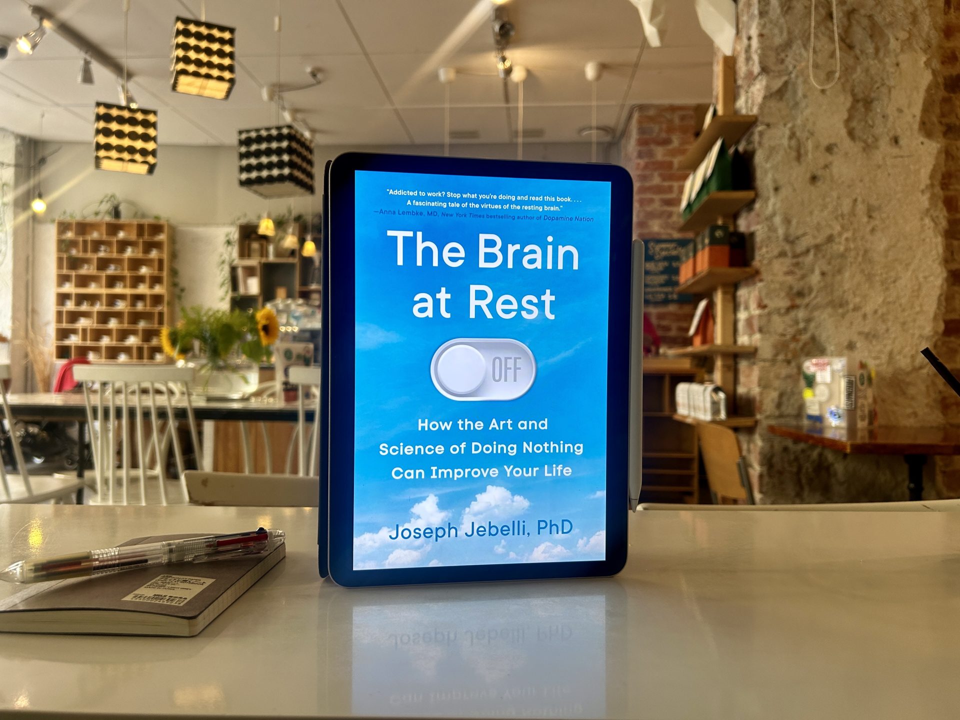 Review and Summary: The Brain at Rest