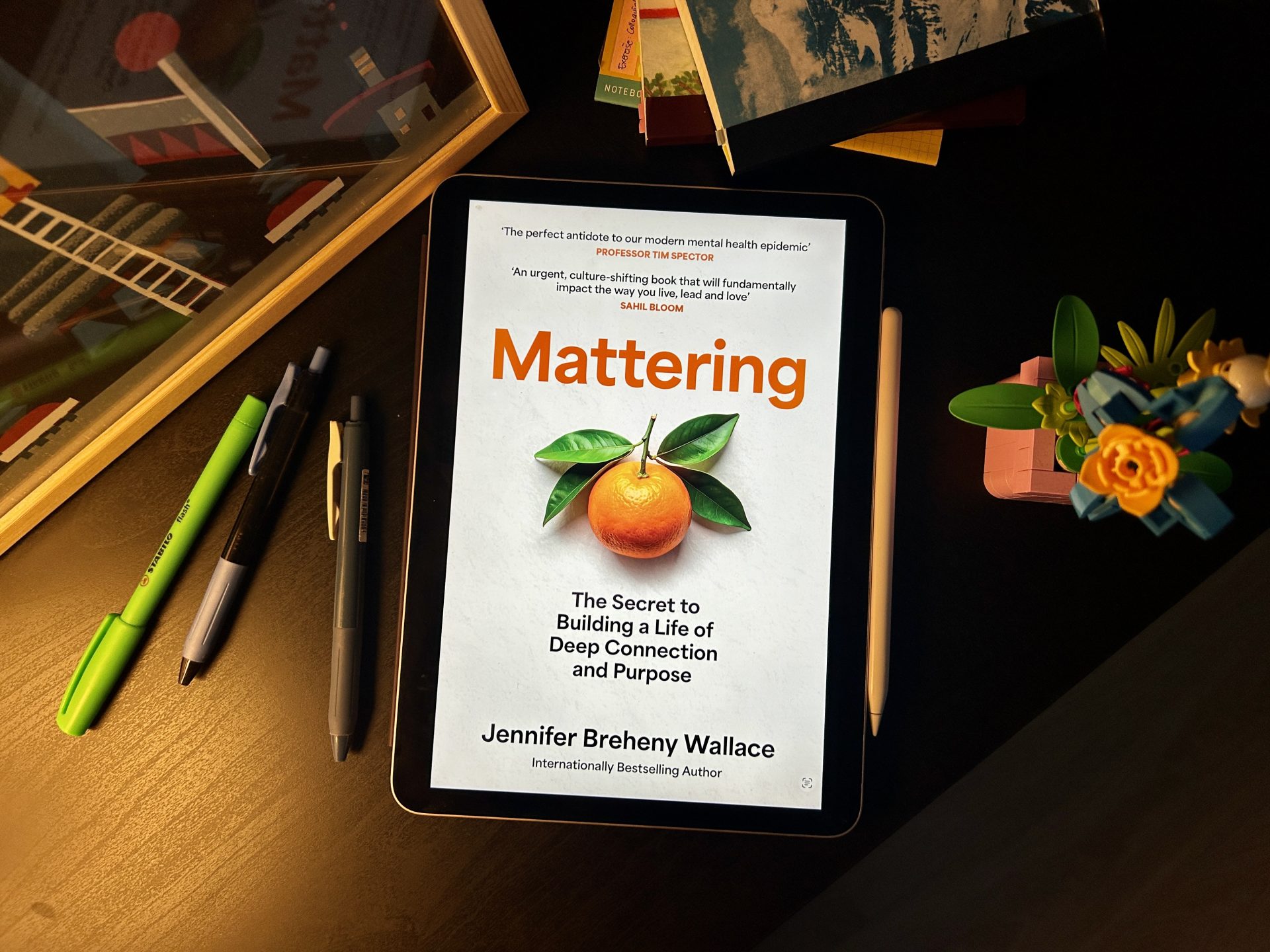 Review and Summary: Mattering