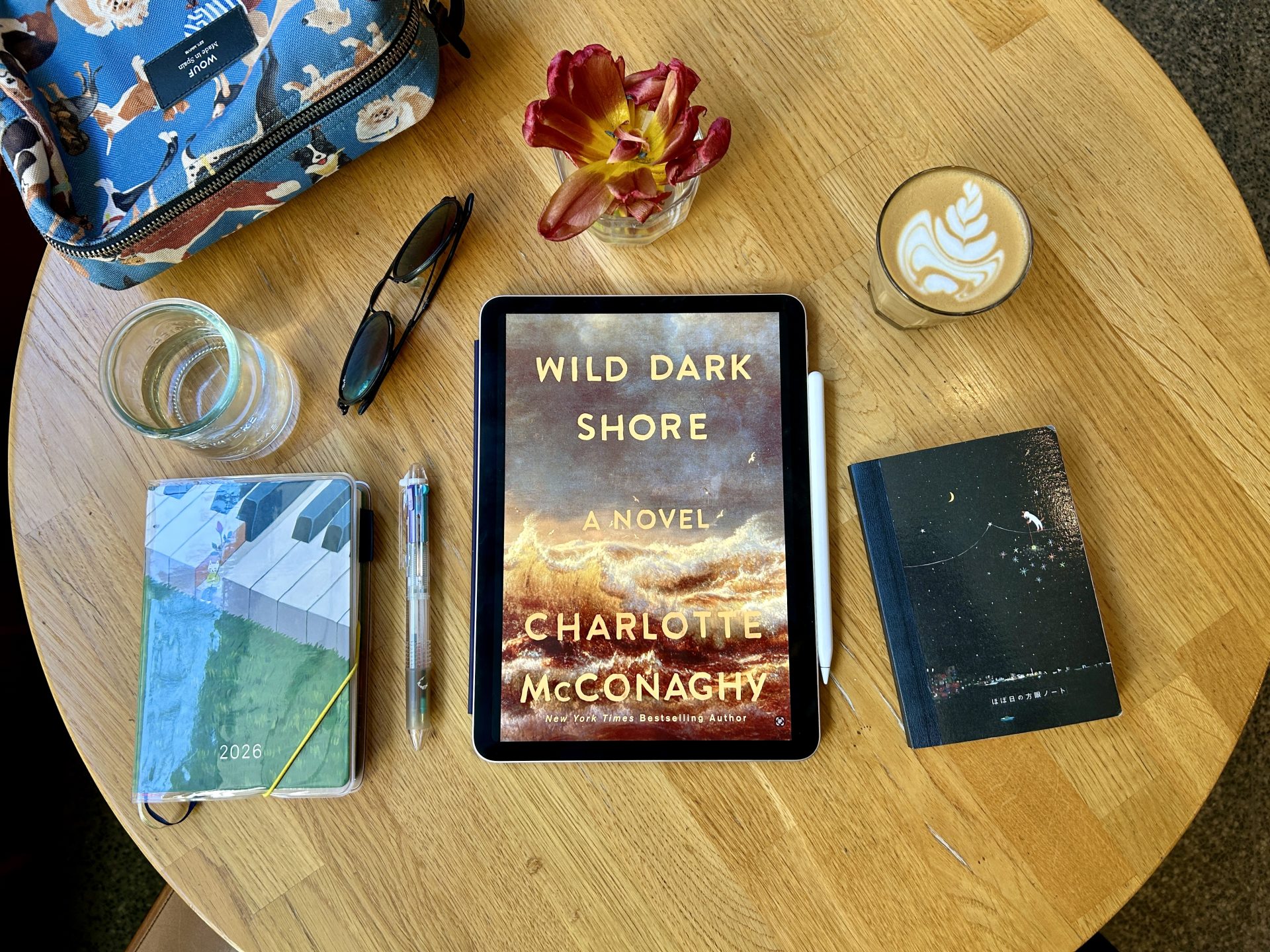 Review: Wild Dark Shore