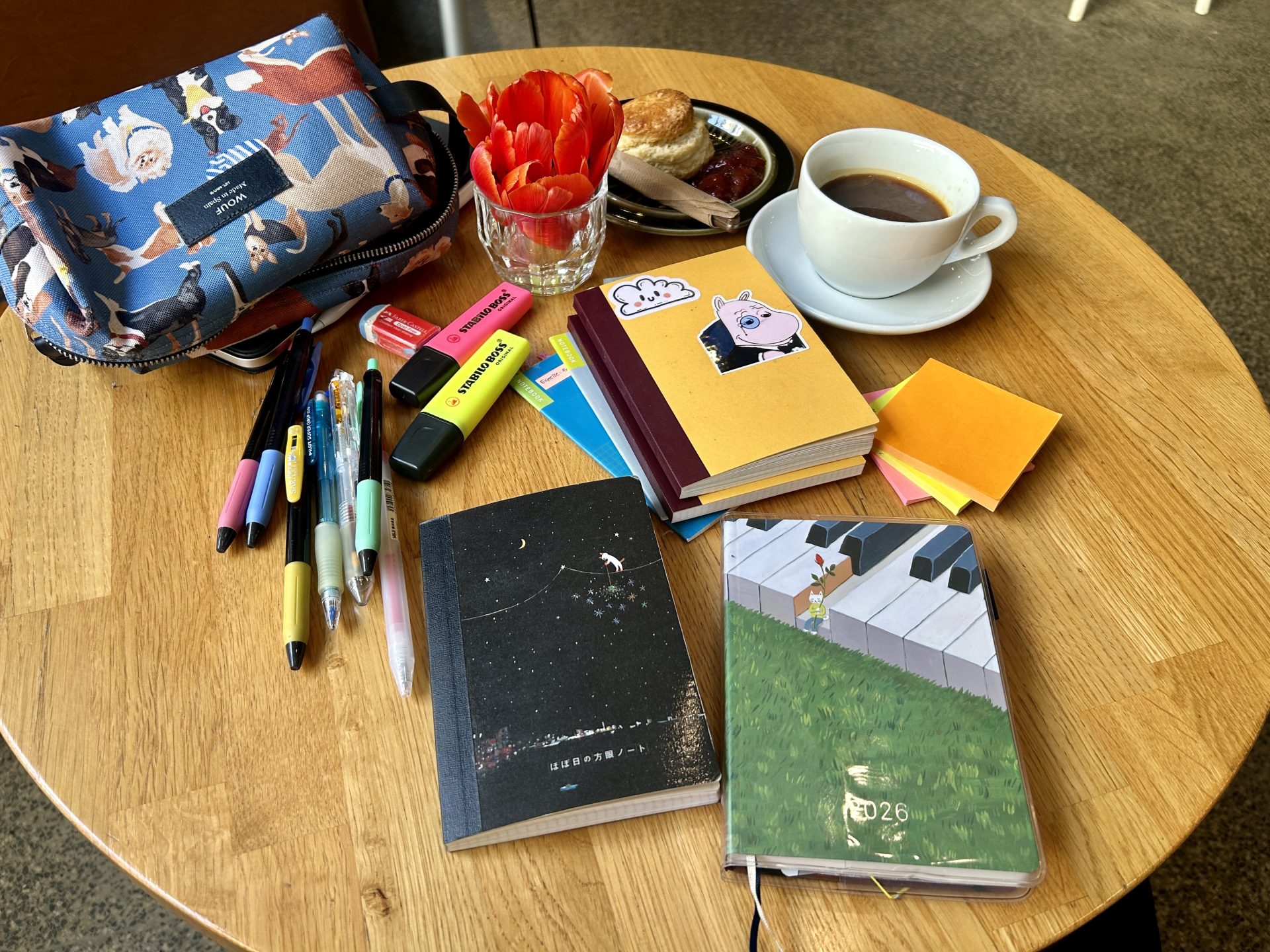 The Best Order to Learn Finnish (Beginner Resources)