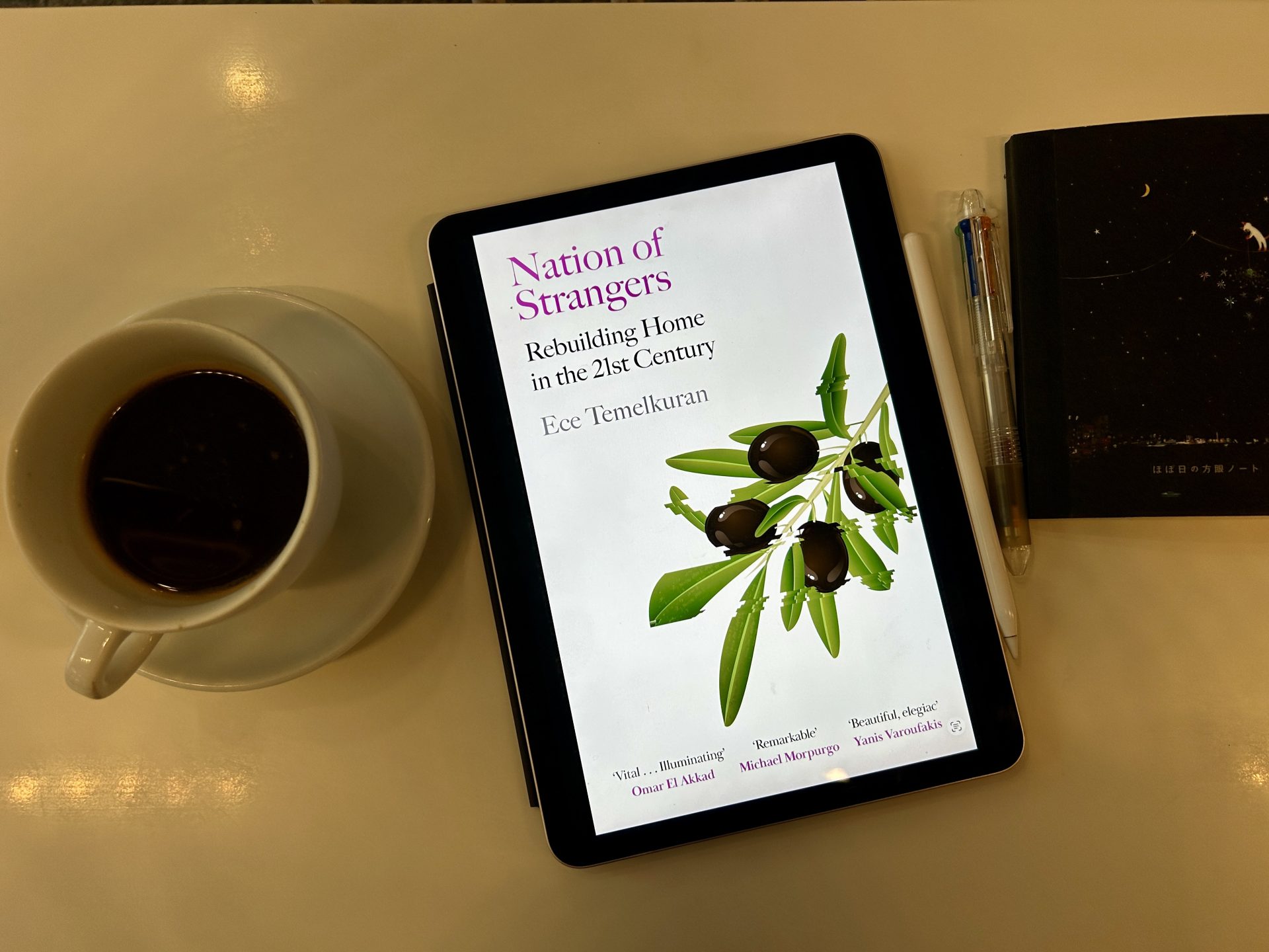 Review: Nation of Stranger