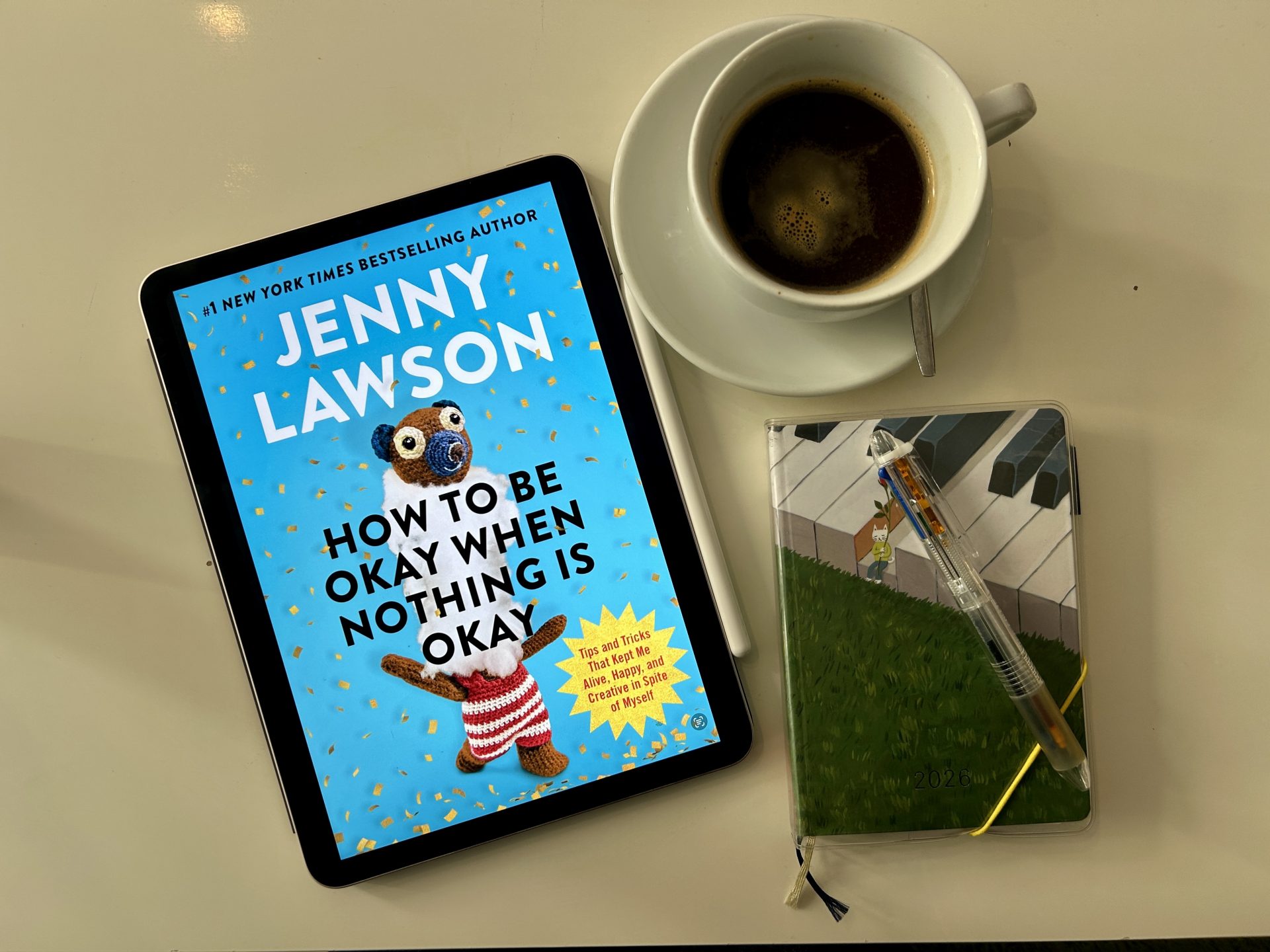 Review: How to Be Okay When Nothing Is Okay