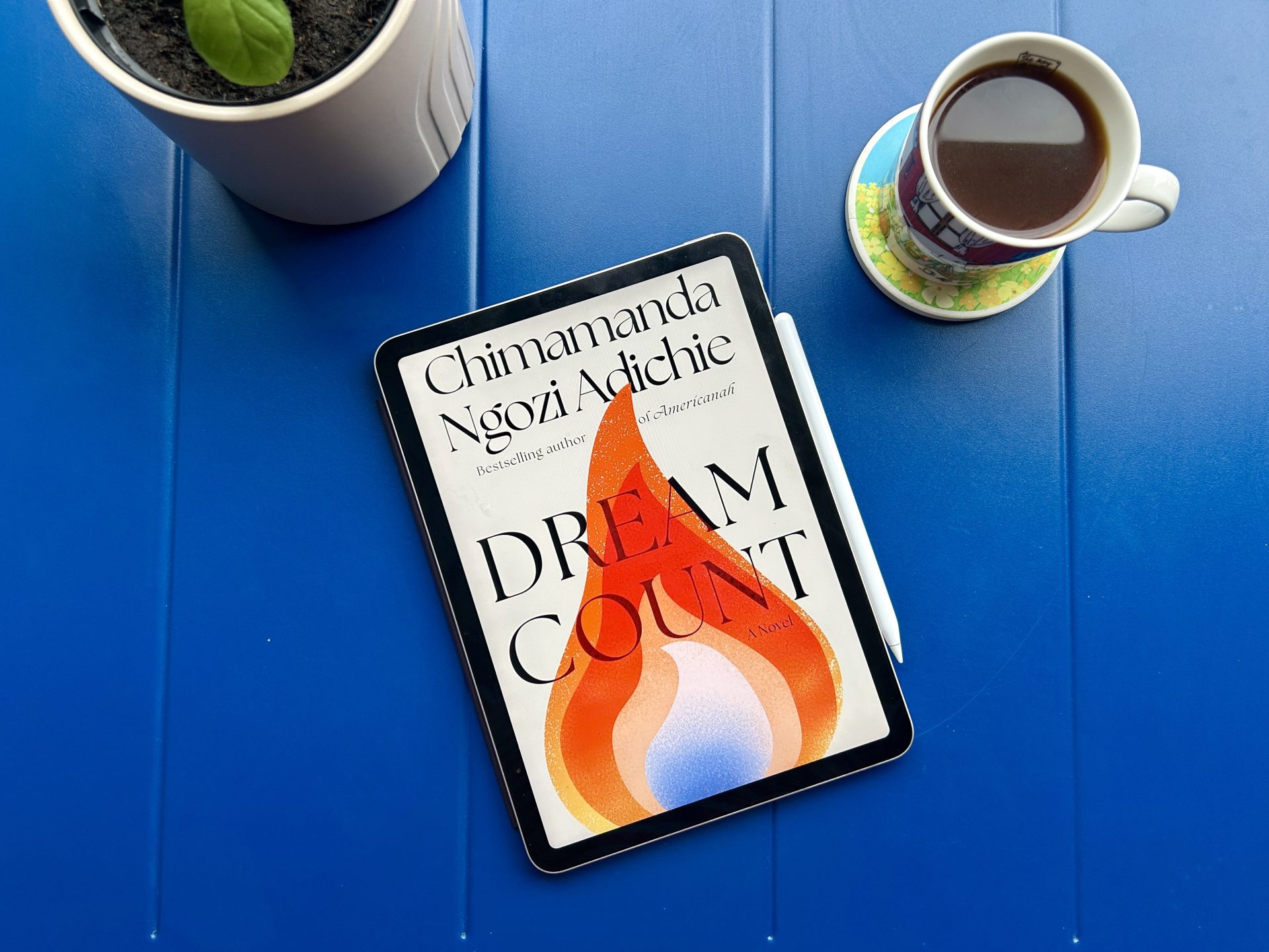 Review: Dream Count