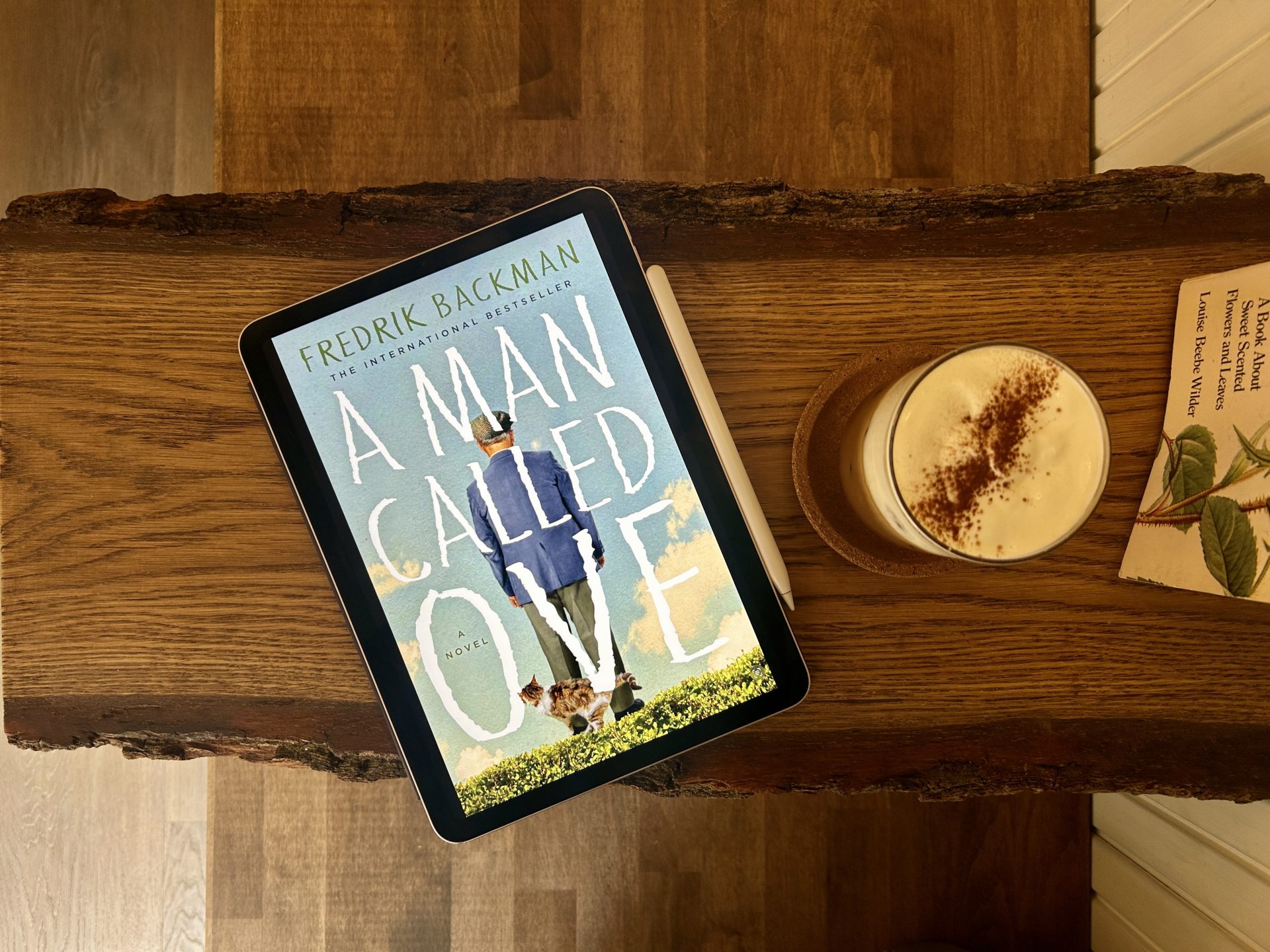 Review: A Man Called Ove