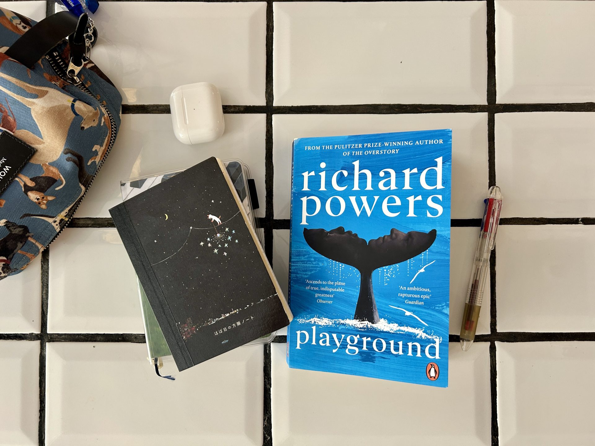 Review: Playground