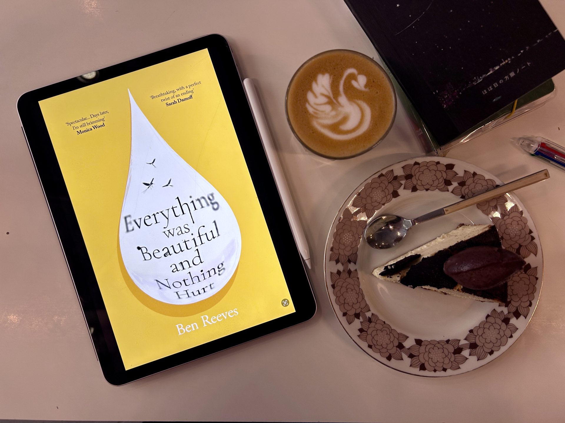 Review: Everything was Beautiful and Nothing Hurt